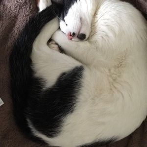 Meet your Posher, Autumn